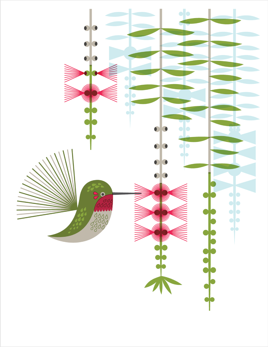 hummingbird greeting card