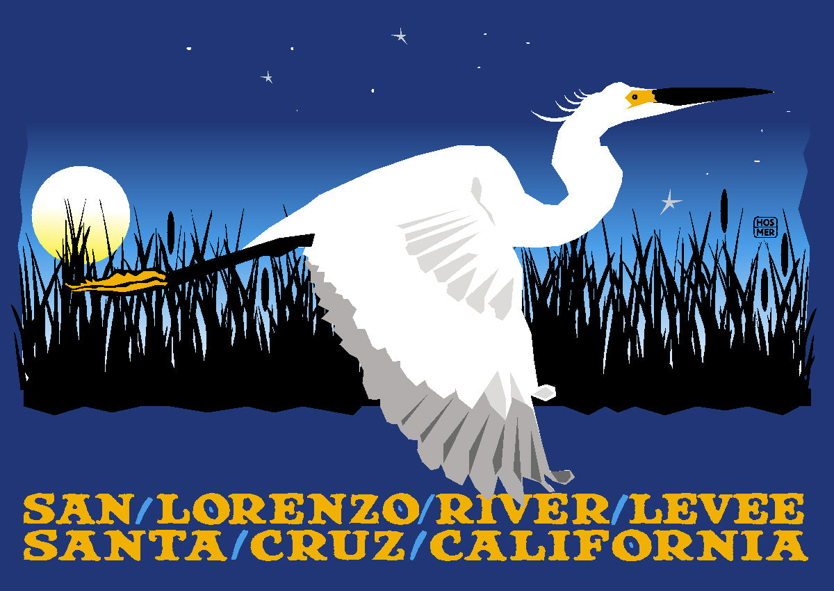 San Lorenzo River graphic print
