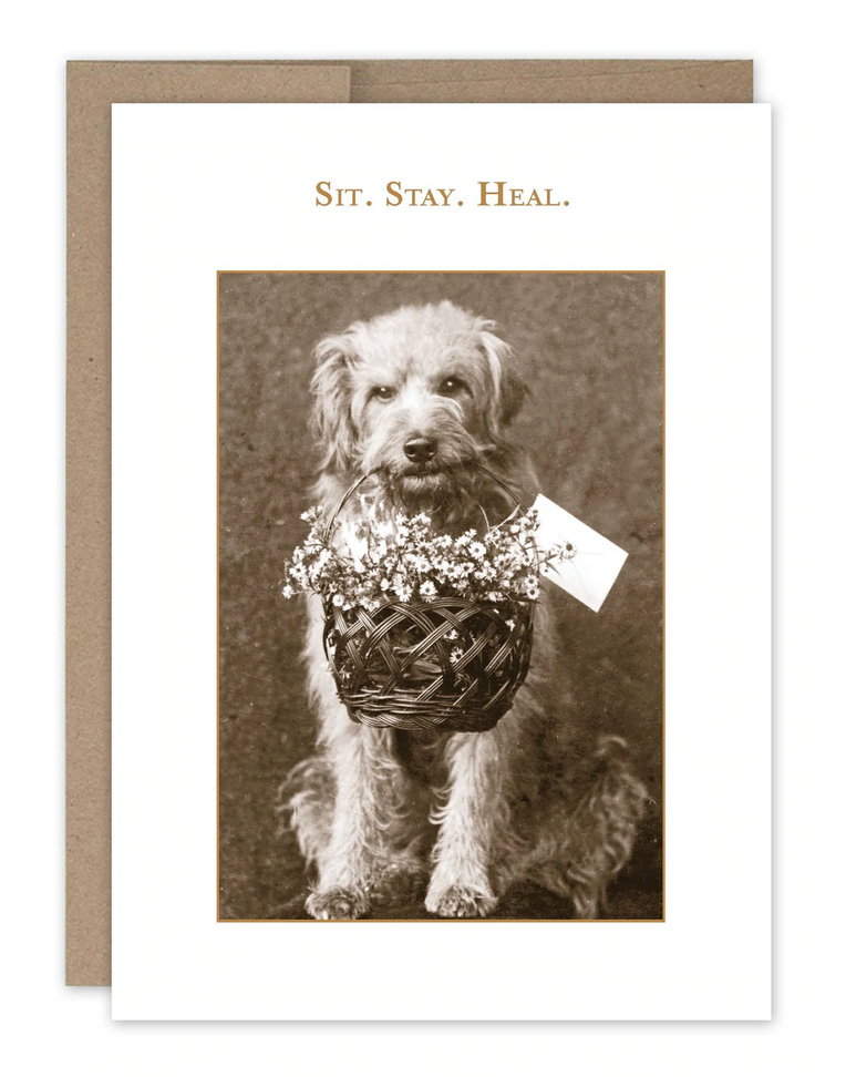 Sit. Stay. Heal greeting card