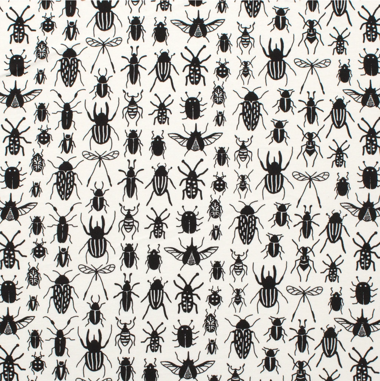 bug pattern