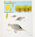 bird print
