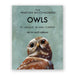 owl blank greeting cards