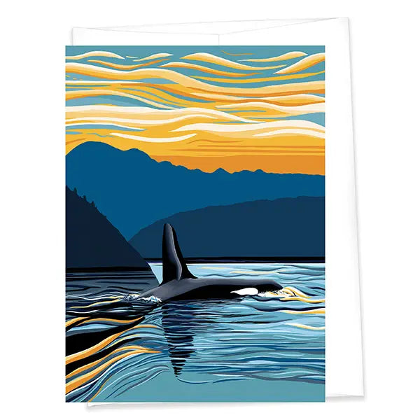 killer whale sunrise blank greeting card
