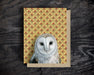 owl blank greeting card