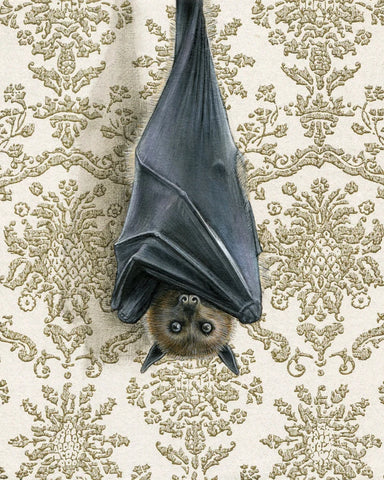 vintage bat artwork