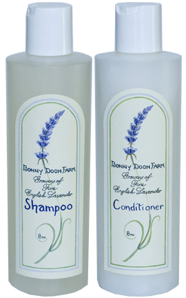 lavender shampoo and conditioner
