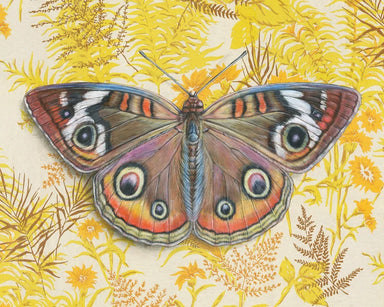 vintage butterfly artwork