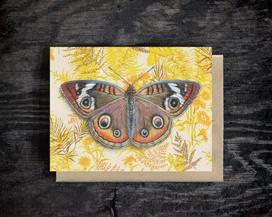 butterfly blank greeting card
