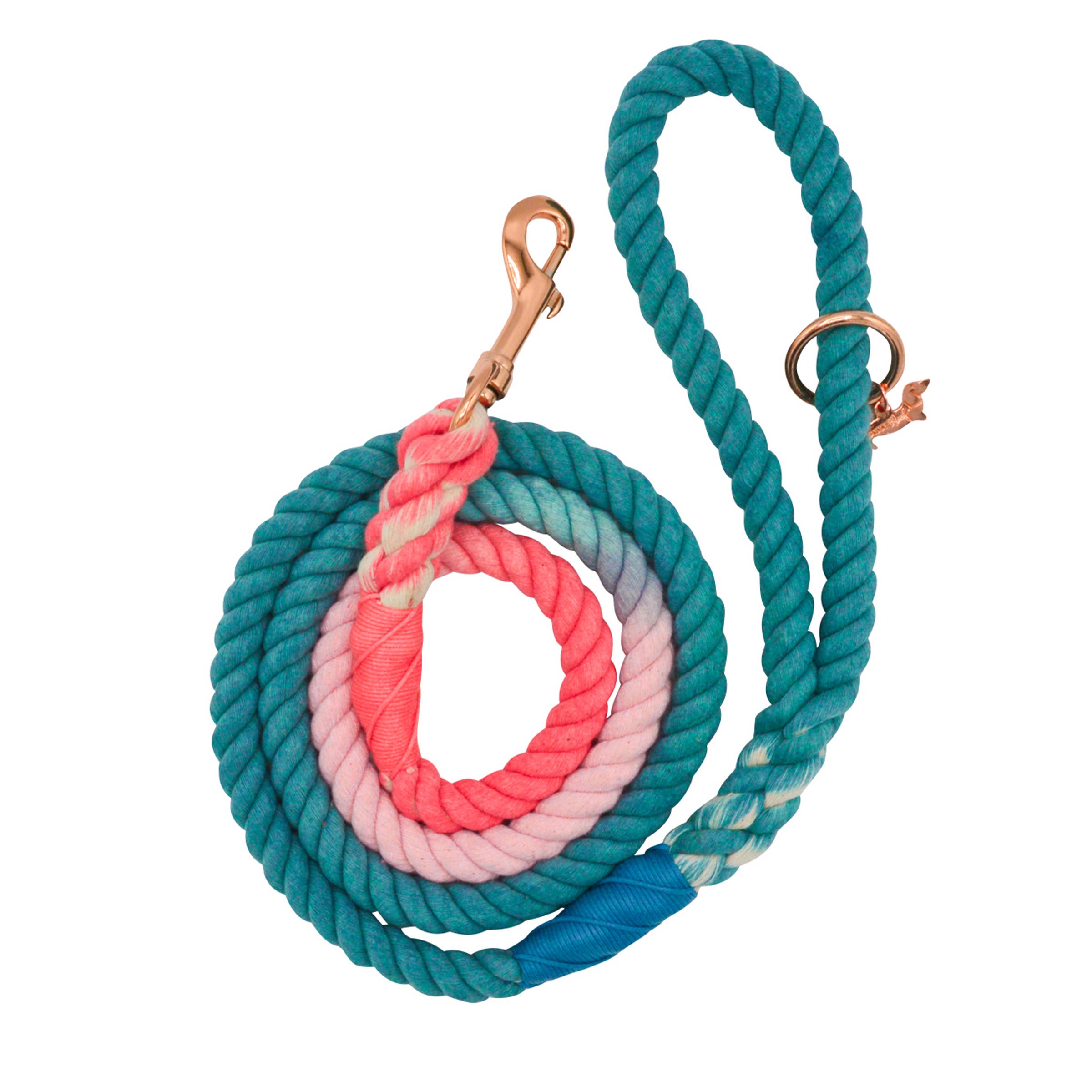 aqua rope dog leash