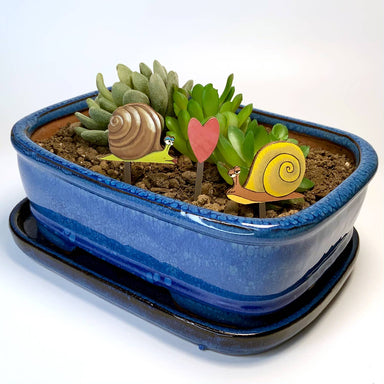 snail diorama kit