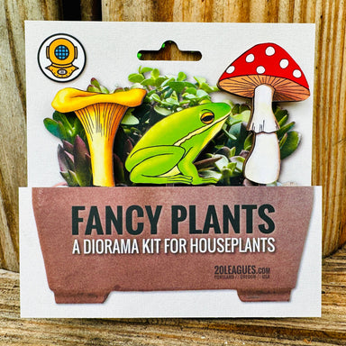 diorama kit for houseplants frogs and mushroom