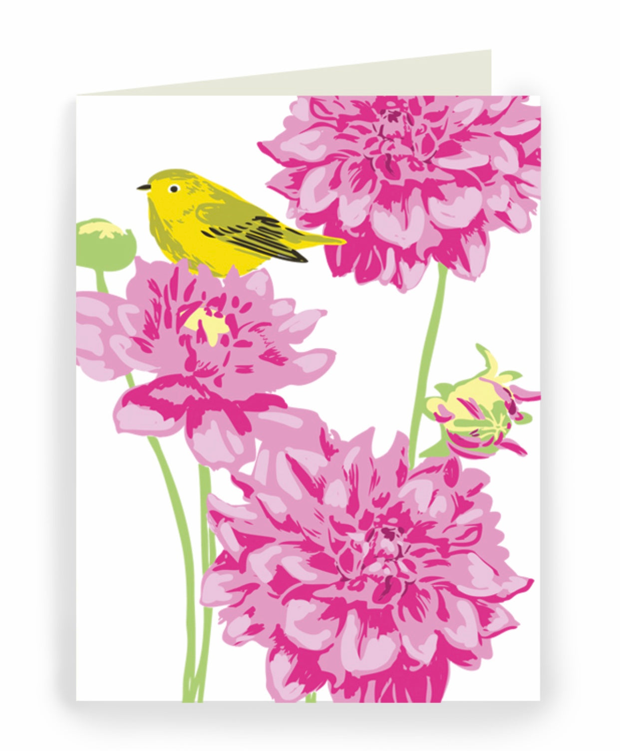 bird greeting card
