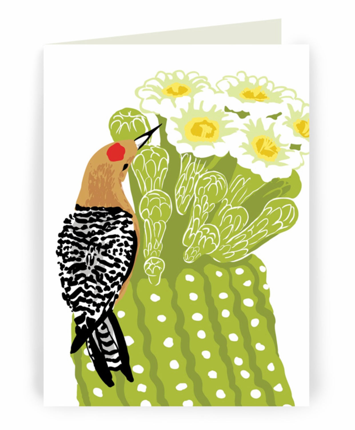 bird and cactus greeting card