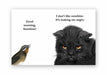angry cat greeting card