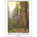 going to the woods is going home blank greeting card