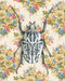 beetle artwork