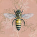 honeybee artwork