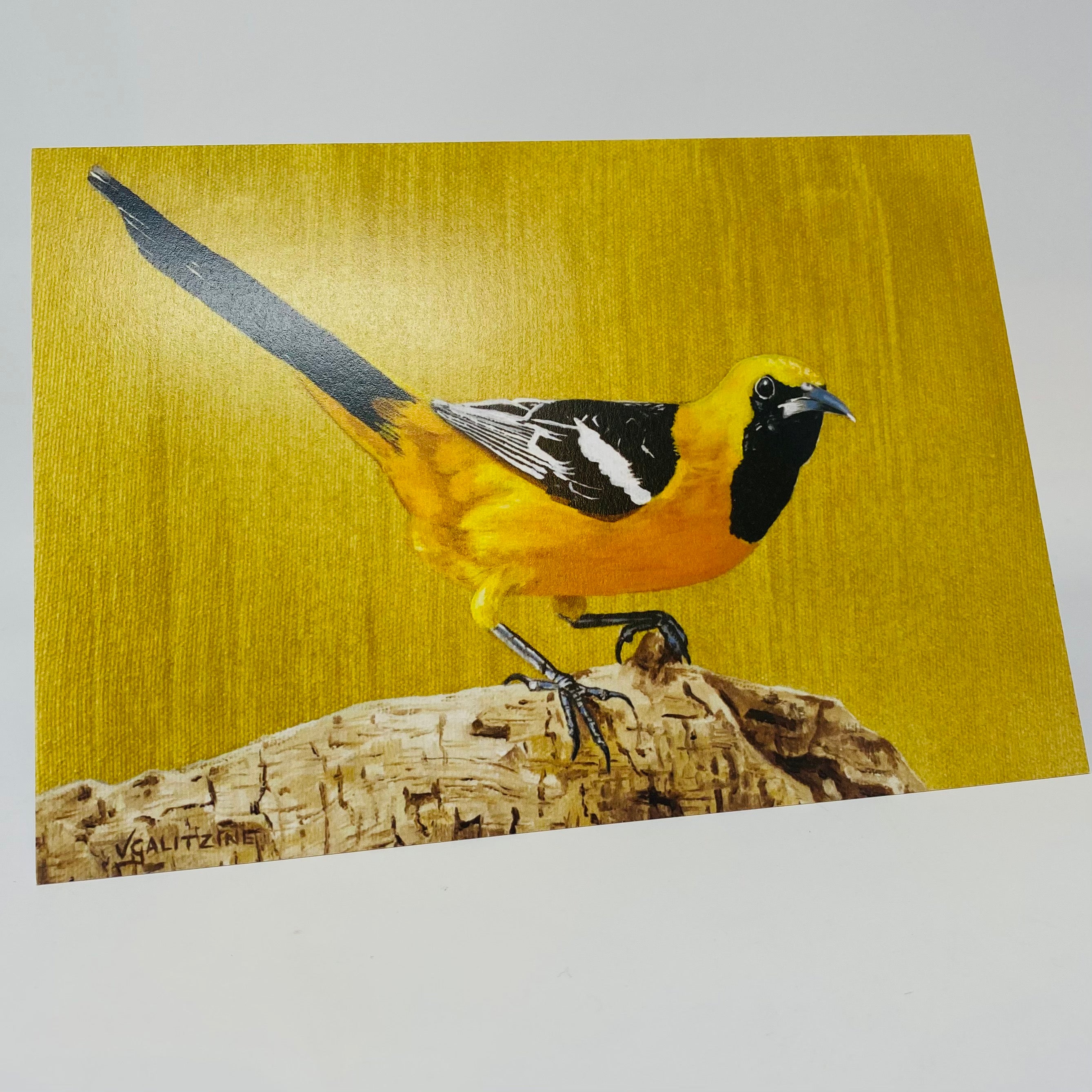 bird greeting card