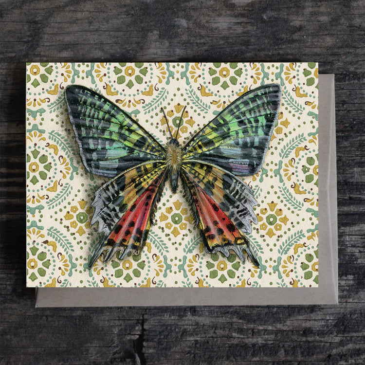 butterfly blank greeting card