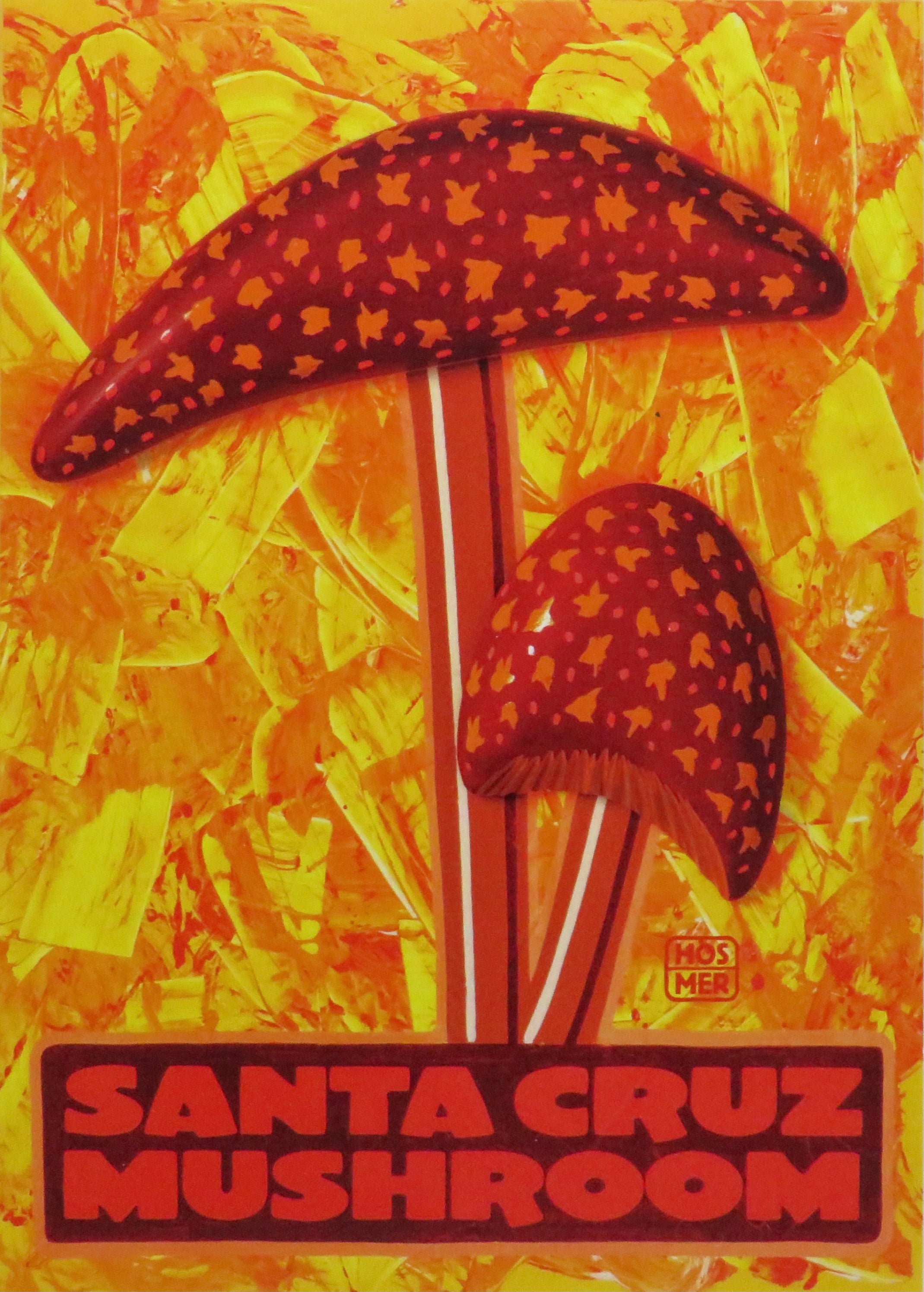 santa cruz mushroom postcard