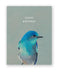 Happy Birthday bird Greeting Card