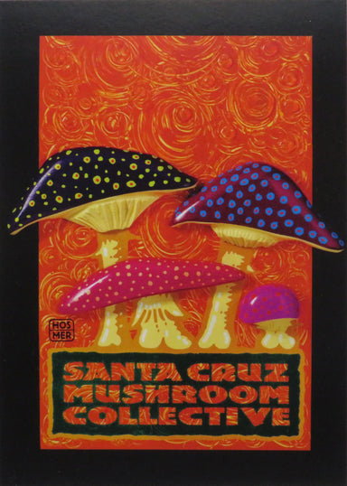 santa cruz mushroom collective mushroom postcard