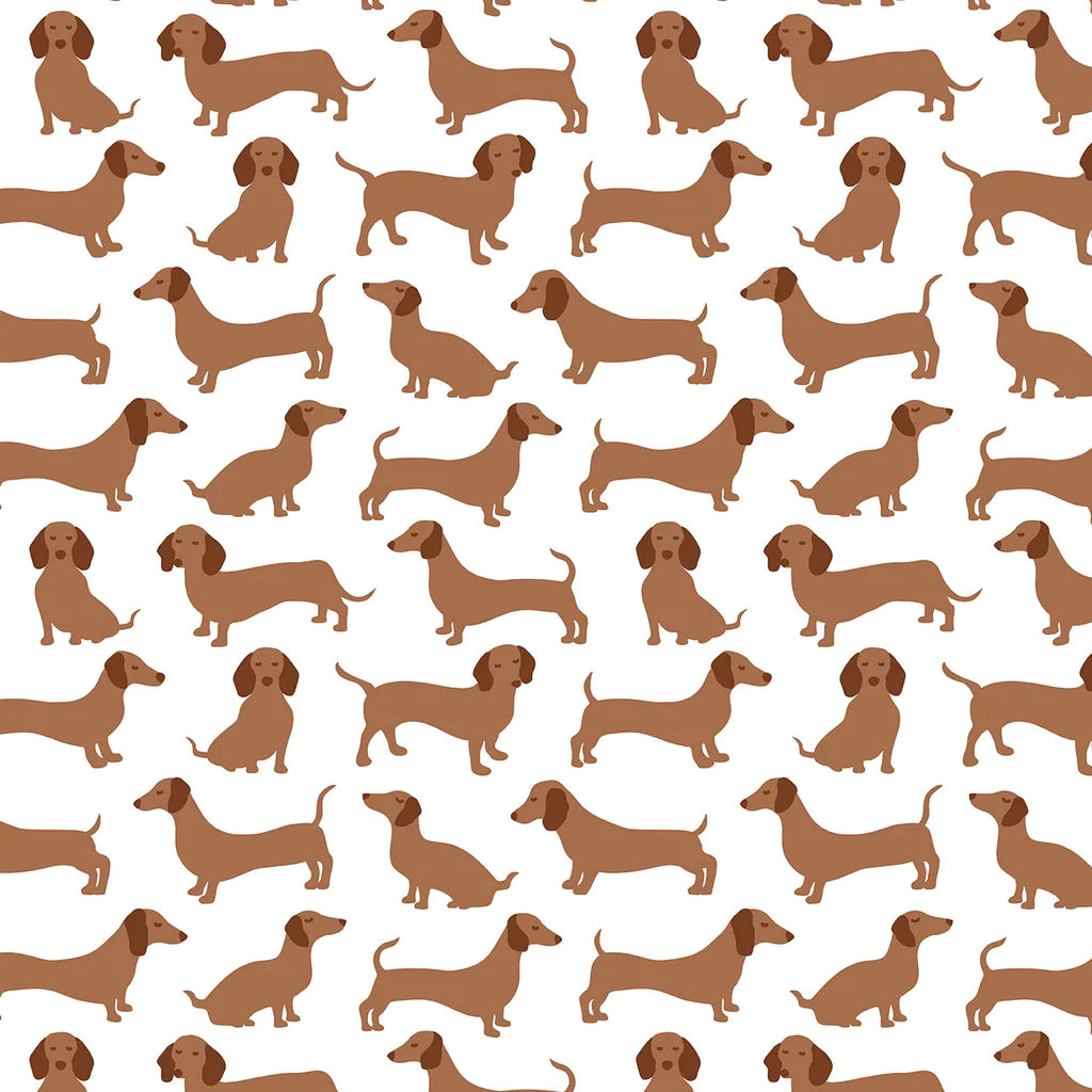 dachshunds onesie
